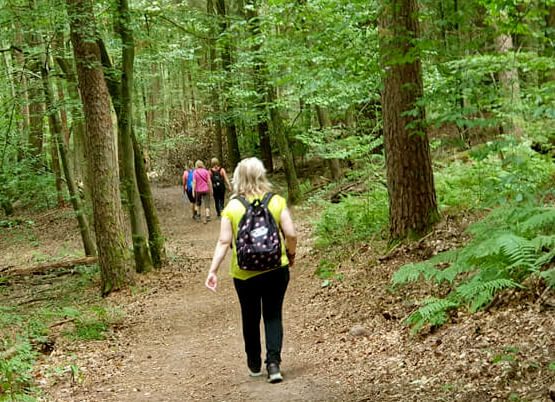 Premiumwanderweg Bärensteig